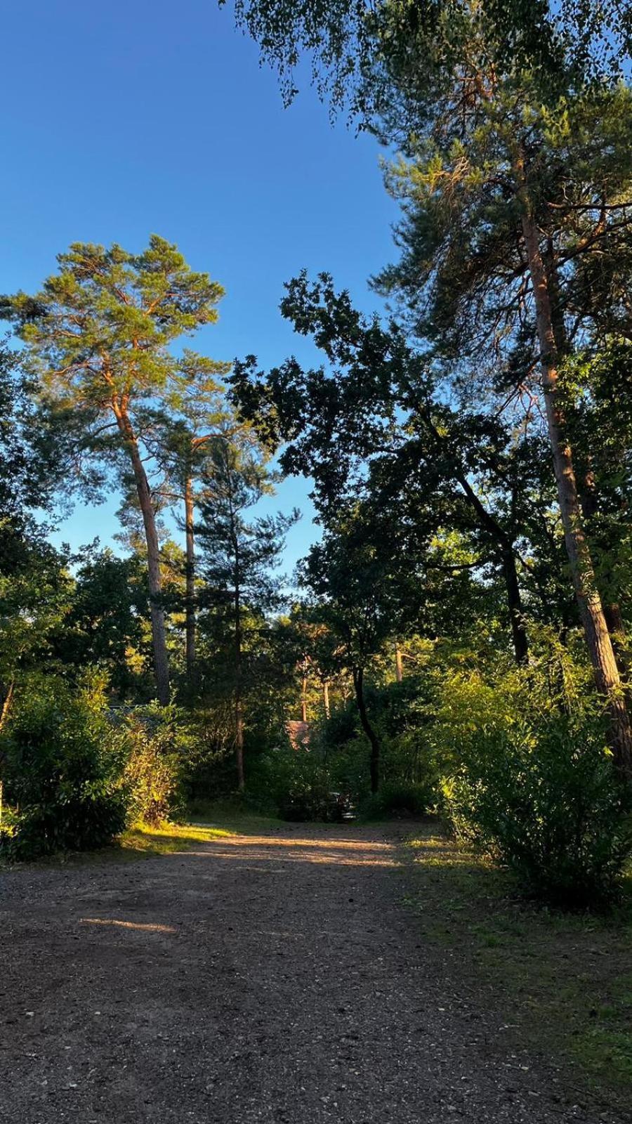 Vakantiehuis Vliegend Hert Veluwe 넌스피트 외부 사진