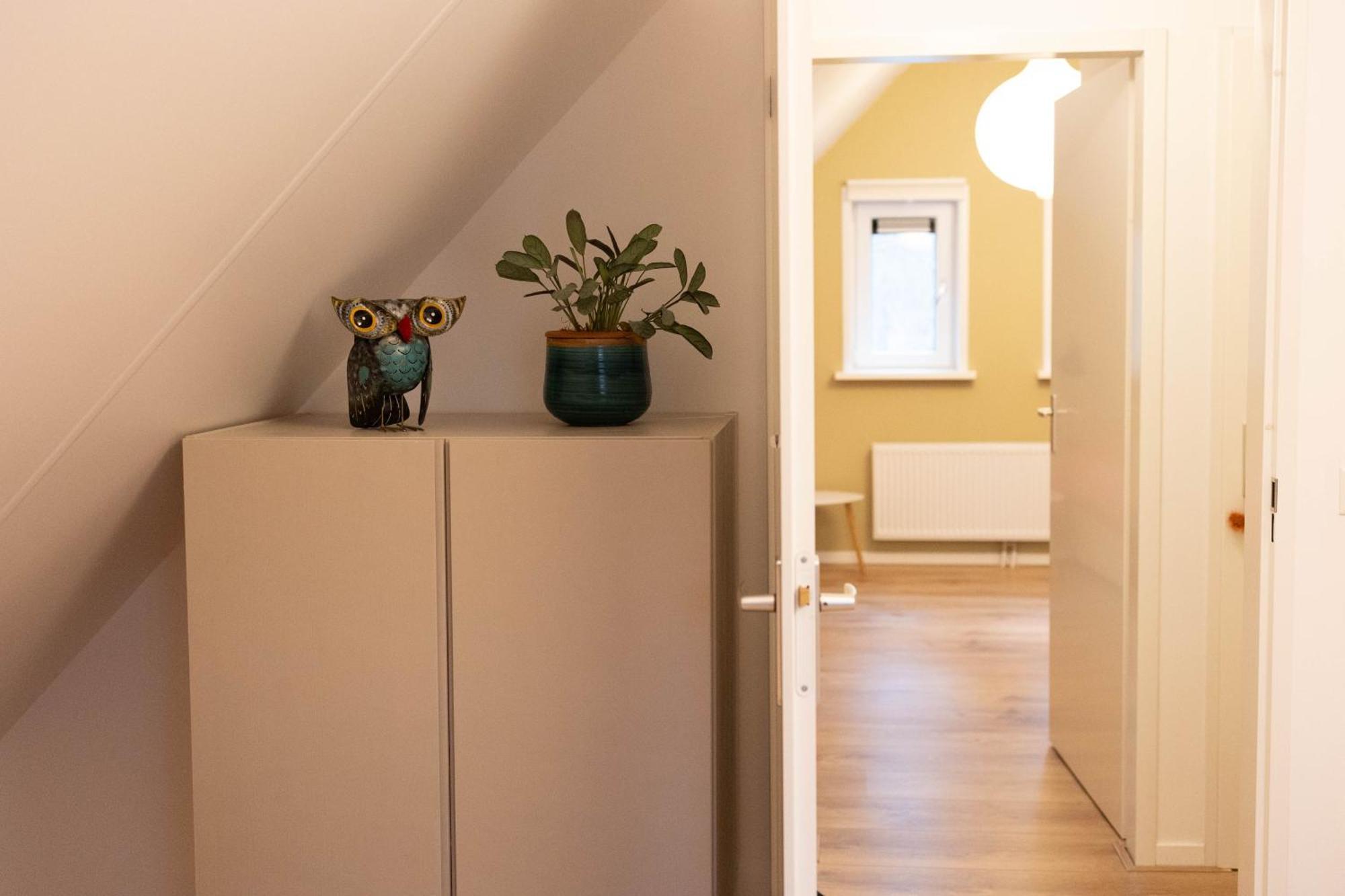 Vakantiehuis Vliegend Hert Veluwe 넌스피트 외부 사진
